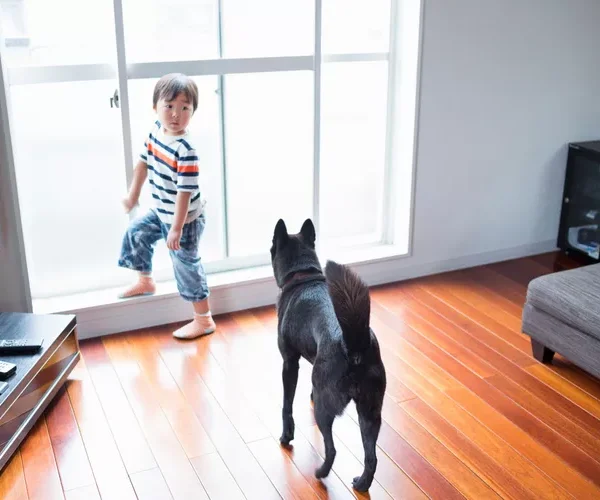Home Flooring Guide for Practical Material Choices