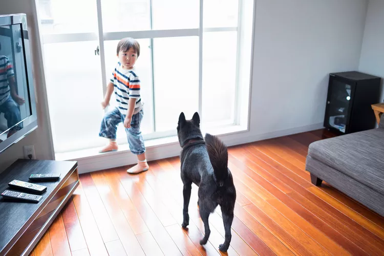 Home Flooring Guide for Practical Material Choices